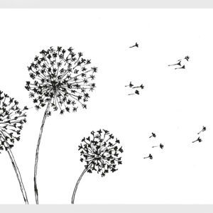 Pusteblume
